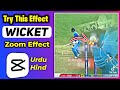 Wicket zoom effect in capcut  cricket effects editing  how to edit crickets