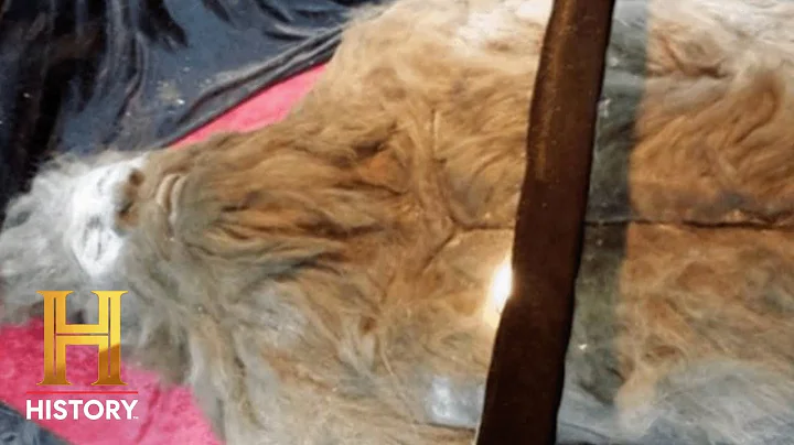 The Proof Is Out There: The Man Who Killed Bigfoot...