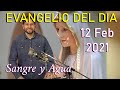 Evangelio Del Dia de Hoy Viernes 12 Febrero 2021-Tres Cosas Que Atraen a Eva a Pecar -Sangre y Agua