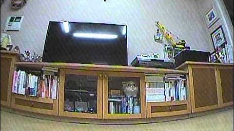 naze32 & minimosd setting