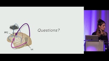 COSYNE 2020 - Session 6