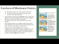 Cell Biology part 1