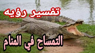 تفسير رؤيه التمساح في المنام للرجل والمرأه