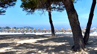 Santa Ponca 💛 🇪🇸 Rundgang Beach & Geschäfte 💛🏖 schönes Mallorca 💛 gute Restaurants 🥂 cool 😎