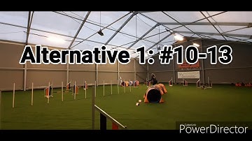 Agility training challenge by Cathrine Skaret feat Zuki