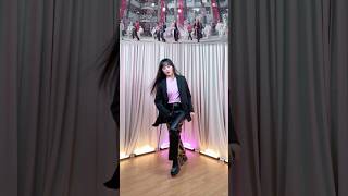 Mirrored Stray Kids Do It Dance Cover Teaser