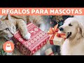 10 REGALOS DE NAVIDAD 🎁 para perros y gatos