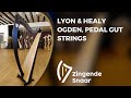 Lyon  healy ogden pedal gut strings