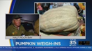 2016 Half Moon Bay Pumpkin Weigh-In To Take Place