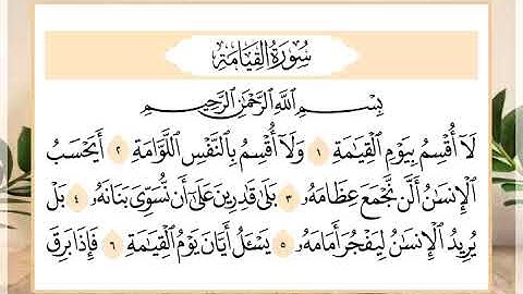 75 سورة القيامة القارئ الشيخ حسن النخلي