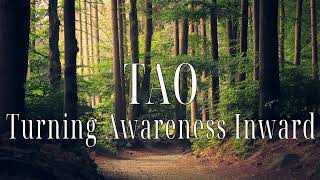 TAO: Turning Awareness Inward - Nine Ways of Cultivating the Tao Inward Turning