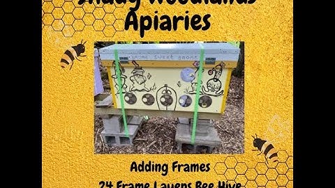 Adding frames to a 24 Frame Layens Horizontal Bee Hive June 10, 2022