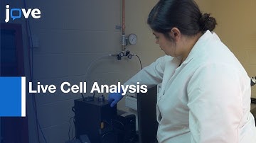 Shear Stress Using Automated Higher-Throughput Microfluidic System l Protocol Preview