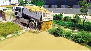 : Start Opening New Project!Dump Truck 5Ton Filling Land Into Field,Skill Bulldozer Pushing Perfectly