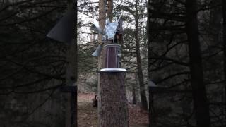 IMG 0054