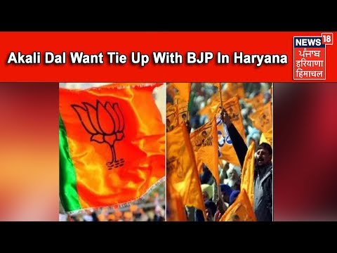 Mission 75 Plus : Akali Dal Want Tie Up With BJP In Haryana | News18 Himachal Haryana Punjab Live