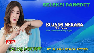 ENDANG WIJAYANTI feat SAFEI SROOP - BUJANG MERANA ( Official Musik ) HD