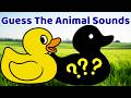 Animal Sounds For Kids | Guess The Animal Name | Toddlers Learning Video