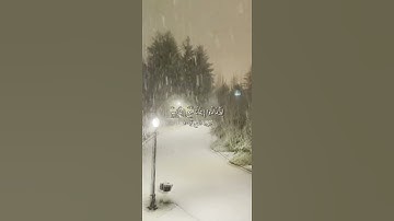 ﴿هُوَ الَّذِي أَنزَلَ السَّكِينَةَ فِي قُلُوبِ الْمُؤْمِنِينَ﴾ سورة الفتح🤍