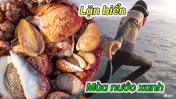 Lặn Bắt Hải Sản Mùa Nước Xanh Lá | Hiện Tượng Lạ tại Hòn Bà - Lagi Bình Thuận
