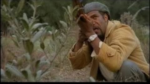 映画　『BILLABONG ビラボン』　公式予告