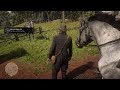 Red Dead Redemption 2 A Clingy Horse