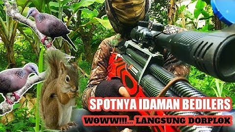 🔴PEST CONTROL HAMA TUPAI KELAPA BONUS TEKUKUR ||INI BARU SPOTNYA PARA SNIPER