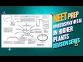 Photosynthesis in Higher Plants Revision Notes for NEET Preparation_Mind Maps