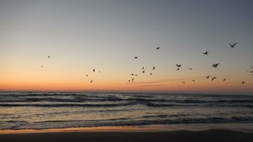 سورة الكافرون بصوت الشيخ خالد الجليل | Surah Al-Kafirun