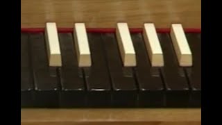 История Клавишных Инструментов