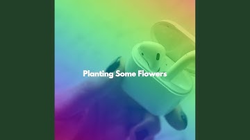 Remarkable Backdrops for Always Crossroads