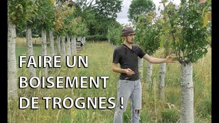 BOISEMENT DE TROGNES, place à la pratique !