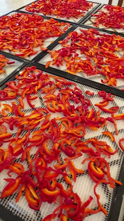 Sweet Paprika #green_pig_farm