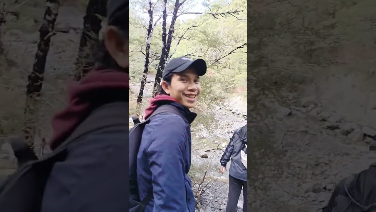 Hiking New Zealand (Oxford forest conservation area Canterbury South island)