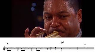 Wynton Marsalis | Cherokee [solo transcription] Bern, 1993