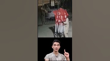 Đồ đạc tự di chuyển vì sao ?