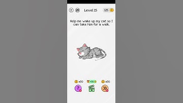 Braindom level no 15 Help me wake up my cat take him for a walk.