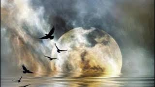 Download lagu John Sokoloff ~ El Manor ~  *****