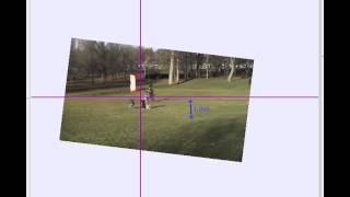 Eagle getting kid video adjusted for camera motion