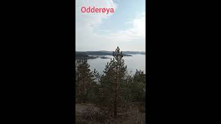 Norway! Sea, forest, birds singing! #norway #nature #норвегія #море #sea #норвегия #norge