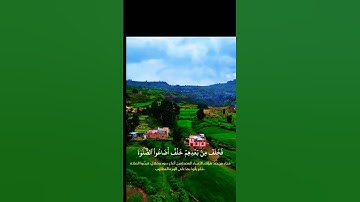 تلاوة خاشعة تريح الهموم #تلاوة #اكسبلور #المصحف #aslam #duet #elmulquranعلم #trend #لايك