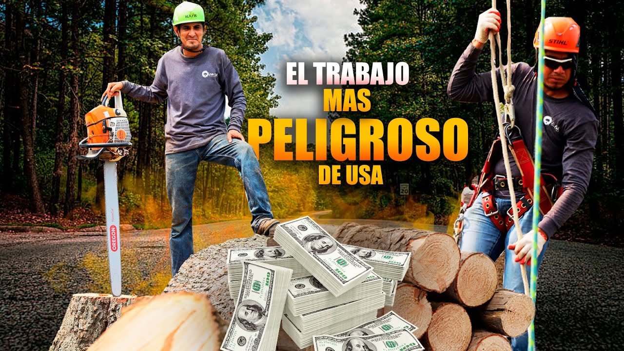CORTE de ÁRBOLES en ESTADOS UNIDOS-¡Es Bien PAGO!