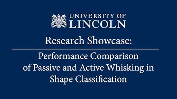Innovative MSc Research: Comparing Passive vs. Active Whisking in Robotic Sensors