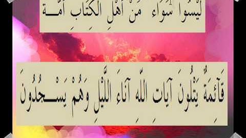 القران الكريم سورة آل عمران الأية  113