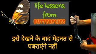 Motivational story | Life lessons from butterfly | short story | Hindi