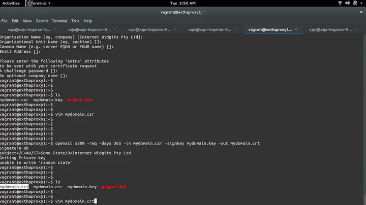 How to create a PEM file for HAProxy Configure SSL Certificate