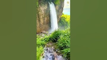 اروع تلاوه تدمع لها العين