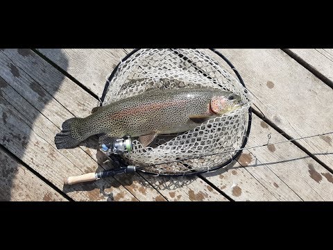 ქულბაქი.   საკალმახე (არეა) სამოთხე.