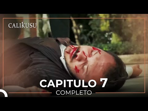 Calikusu 7 Capítulo