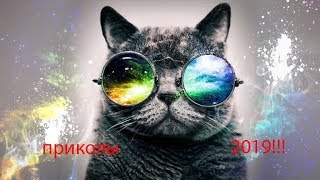 Самые смешные приколы 2019!!! С животными !!! Приколы до слез попробуй не засмеяться! Угар! Прикол! Самые смешные приколы 2019!!! С животными !!! Приколы до слез попробуй не засмеяться! Угар! Прикол!